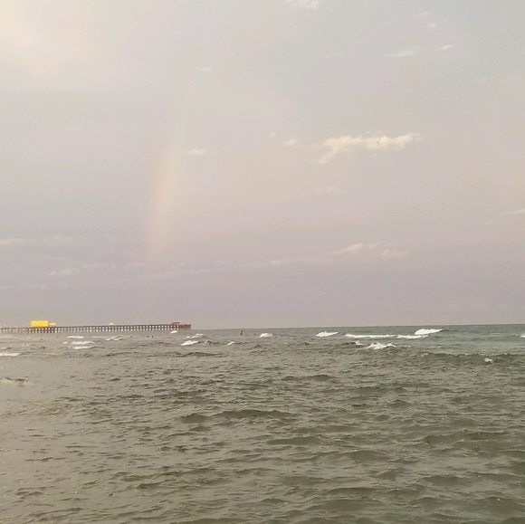 Meet your Posher, Molly - Picture 1 of 1